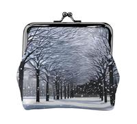 Snow Falling in The Park Print Coin Purse,Cute Leather Kiss Lock Coin Wallet Portable Wallet for Office and Travel