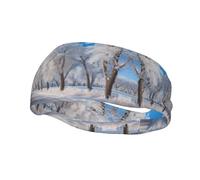Snow Falling in The Park Print Sports Headband for Women Men Sweatband Headbands,for Running Yoga Gym Workout Cycling