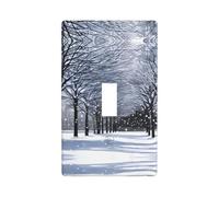 Snow Falling in The Park Print Wall Plate, Acrylic Back Panel Or Plate, Protect Wall from Finger Prints