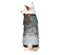 Snow Falling in The Park Printed Dog Hoodie Soft Dog Sweatshirt Cute Cat Dog Clothes for Small Dogs Kitten Puppy, M
