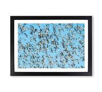 Snow Geese in Flight in Abstract Framed Print | A2 Black Framed Wall Art | Ready to Hang | Abstract Landscape Picture | Living Room Bedroom Lounge Office