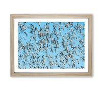 Snow Geese In Flight In Abstract Modern Art Framed Print | A4 Oak Framed Wall Art | Ready to Hang | Abstract Landscape Picture | Living Room Bedroom Lounge Office