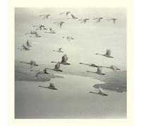 Snow Ghosts - And The World Was Gone [VINYL]