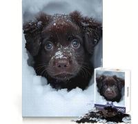 Snow Labrador Retriever 1000 Piece Jigsaw Puzzle for Teenagers Enhance Recall Family Bond Exact Edge Thoughtful Gift (50x75cm)