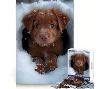 Snow Labrador Retriever Jigsaw Puzzles 1000 Piece for Teenagers Fine Logic Toy Easy Leisure Neat Edge Festival Gift (38x26cm)