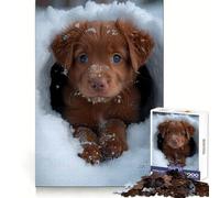 Snow Labrador Retriever Jigsaw Puzzles 1000 Piece for Teenagers Logic Ability Toy Relaxing Fun Accurate Cut Artistic Gift (50x75cm)