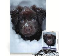 Snow Labrador Retriever Jigsaw Puzzles for Teenagers 1000 Piece Recall Upgrade Calm Relax Clear Cut Art Collection Piece (38x52cm)