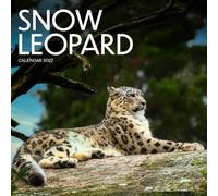 Snow Leopard Calendar 2027: Mountain Cats and Alpine Life