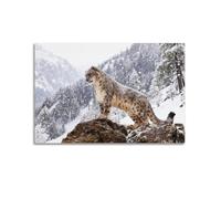 Snow Leopard on Mountain Animals Poster Canvas Print Wall Art Beautiful Artwork Modern Decor Suitable for Home Office Gift12x18inch(30x45cm)