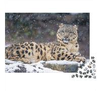 Snow Leopard Resting in Winter Snowfall Adult Jigsaw Puzzle, 1000 Pieces, 52x38cm/1000pcs, A Rewarding Project to Return To; Low-dust White Cardboard Pieces