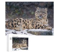Snow Leopard Resting in Winter Snowfall Jigsaw Puzzle for Adults, 300 Piece