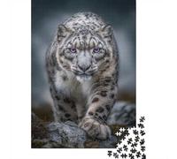 Snow Leopard with Pink Eyes Adult Puzzle 1000 Pieces, Animal Lover Jigsaw Puzzle, Weekend Leisure Gift, 52x38cm/1000pcs