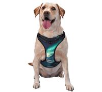 Snow Mountain Northern Lights Premium Dog Harness for Small, Medium, and Large Dogs - Durable, No Pull with Reflective Straps and Quick Release BucklesSmall