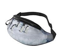 Snow Mountain Penguin Sport Waist Bag Travel Bumbags with Zipper and Earphone Hole, Running Fanny Pack Waist Pack with Adjustable Belt for Men Women