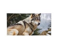 Snow Mountain Wild Wolf Banner Party Decor Backdrop Flag Birthday Party Photography Background Decoration Banners and Signs Wall Decor Banner PartySupplies Favors 24 x 47 Inch