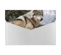 Snow Mountain Wild Wolf File Folder 6-Pocket, Waterproof Accordion File Organizer with Snap Closure, Expanding Document Holder for Office, Home