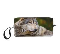 Snow Mountain Wild Wolf Prints Travel Makeup Bag Makeup Pouch, Portable Simple Zippered Makeup Organizer Case for Women