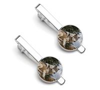 Snow Mountain Wild Wolf Tie Clip Set Personalized Tie Clips for Men Business Fashion Designs,Tie Bar for Wedding Anniversary Business