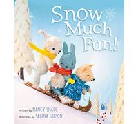 Snow Much Fun!: A Winter and Holiday Book for Kids