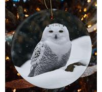 Snow Owl Ceramic Christmas Ornaments - 2 Pcs Rustic Round Xma Tree Decor with Hanging String, Personalized Vintage Double-Sided Holiday Party Decorations for Xmas Gifts