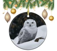Snow Owl Ceramic Christmas Ornaments 3 Inch Vintage Hanging Baubles with Gold String for Xmas Tree Decorations Holiday Party Yard Garden Home Decor Festive Keepsake Gift Exchange
