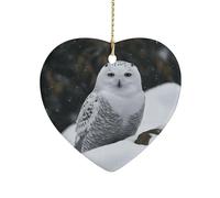 Snow Owl Ceramic Christmas Star Ornament 3 Inch Porcelain Heart Shaped Hanging Pendant for Xmas Tree Holiday Festival Ornaments for Home Party Decoration Gift
