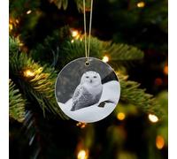 Snow Owl Christmas Ornaments - Xmas Tree Hanging Ornaments, Personalized Acrylic Circular Christmas Pendant for Holiday Keepsake Gifts