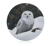 Snow Owl Cutting Board for Kitchen Mini Cheese Chopping Board Round Tempered Glass Chopping Block for Picnic Cutting Pizza Meat Fruit(7.9 Inch)