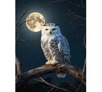 Snow Owl Notebook