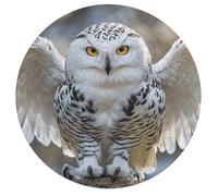 Snow Owl Personalized Jigsaw Puzzles, 195Pcs Custom Wooden Jigsaw Puzzle Round Puzzle Gift Adult
