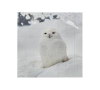 Snow Owl Printed Square Jigsaw Puzzle 16x16 CM, Puzzle Challenging Game for Adults Gifts, Family Fun Decorative Wall Decor