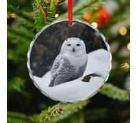 Snow Owl Round Christmas Ornaments - Crystal Glass Xmas Hanging Ornaments, Personalized Christmas Tree Pendant for Holiday Keepsake Gifts (3. Inch)