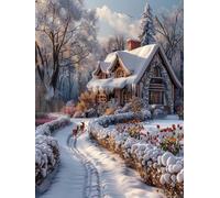 Snow Scene Diamond Art Kits Adults, 5D Diamond Painting Houses, DIY Full Drill Cross Stitch Embroidery Crystal Art Kits, Crafts for Adults, Paintings for Room Decor, Gifts for Women 20x26 inch Z-8718