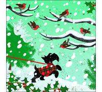Snow Scottie Dog and Robins Advent Calendar Card with 24 doors 160mm x 160mm with white envelope