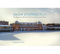 Snow Stopped Play: The Mysterious World of the Cricket Ground in Winter
