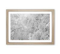 Snow Upon The Tree Branches Framed Print | A2 Oak Framed Wall Art | Ready to Hang | Modern Floral Picture | Living Room Bedroom Lounge Office