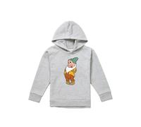 Snow White And The Seven Dwarfs, Flirty Bashful Youth Kids Pull-Over Hoodie, Athletic Heather Disney Grey 9-11 Years