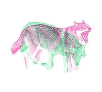 Snow Wolf Double Exposure Wall Art Print