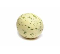 Snowball Melon 1 Piece Approx 1.5KG
