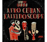 Snowboy - DJ Snowboy's Afro Cuban Kaleidoscope