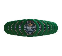 Snowdonia Cheese Company Green Thunder | Mature Cheddar with Roasted Garlic & Herbs | 12 x 200g | Vegetarian & Coeliac Friendly