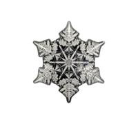 Snowflake Shaped Gear - Snowboard Grip Strips | Snowboard Step Pad - For Winter Sports, Ice Skateboard, Hockey, Men, Women & Ni