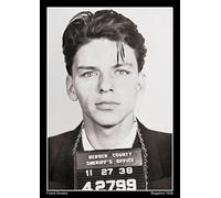 Snowgoose and Lily Frank Sinatra Mugshot Poster - A2 Size - 42 x 59.4 cm - Paper Laminated