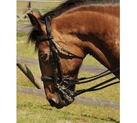 Snowhill Heritage English Leather Comfort Double Bridle in Black or Havana Cob, Havana