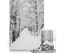Snowing in Forest 1000-piece Puzzle for Teenagers Mind Exercise Toy Mind Calm Design Assembly Cherished Gift (50x75cm)