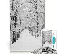 Snowing in Forest 1000-piece Puzzle for Teenagers Mind Exercise Toy Mind Calm Design Assembly Cherished Gift (50x75cm)