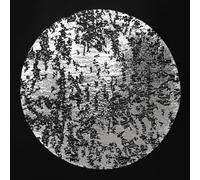 Snowkingdom Silver Disposable Placemats Set of 12 Foil Mesh 13 Inch Round Pressed Table Mates 12 Pack Silver Doilies for Dining Table Wedding Birthday Party Holiday Home Decoration