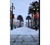 SNOwLA: A Winter's Journey: Canal Street Edition