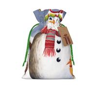 Snowman Squirrel Owl Printed Christmas Drawstring Bags Reusable Xmas Bag for Party Xmas Gift Wrapping, Green Ribbon, S
