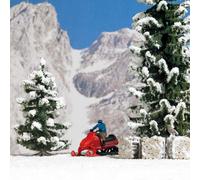 Snowmobile Action Set - caterpillar drive and driver HO/OO Gauge Busch 7818